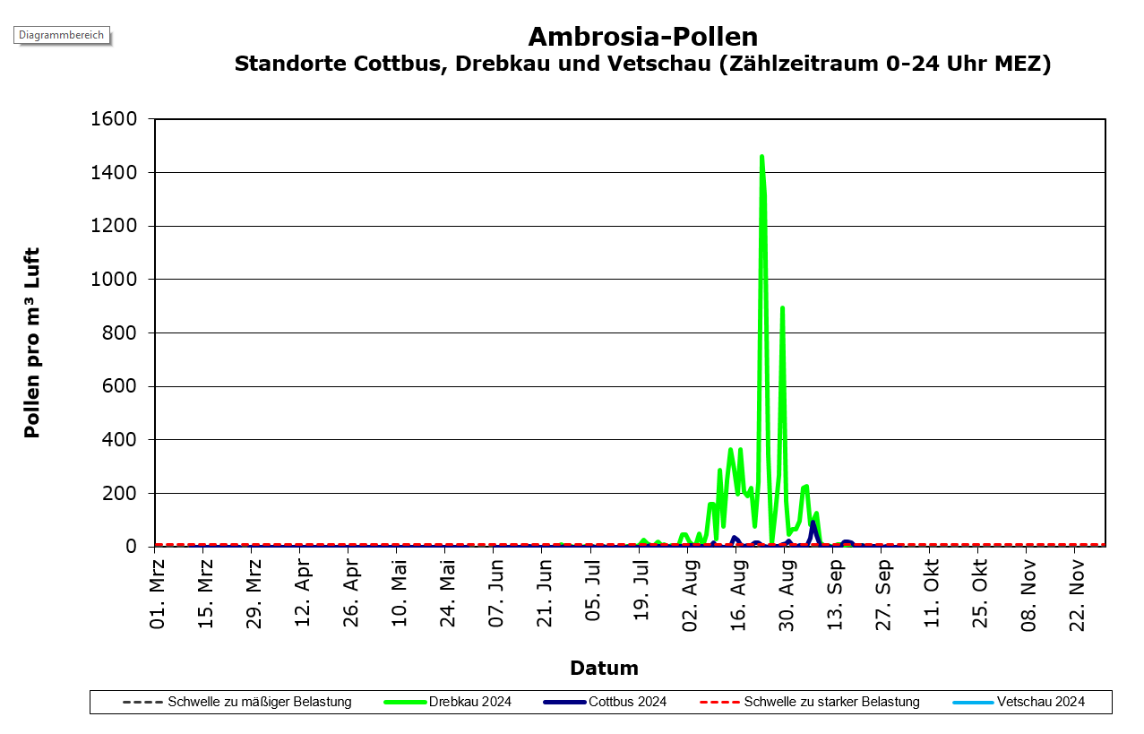 Aktuelle Ambrosiapollenwerte der Standorte Drebkau, Cottbus und Vetschau