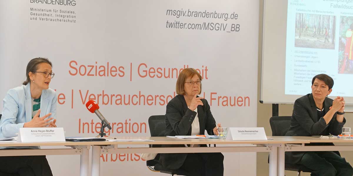 Anna Heyer-Stuffer, Ursula Nonnemacher und Silvia Bender