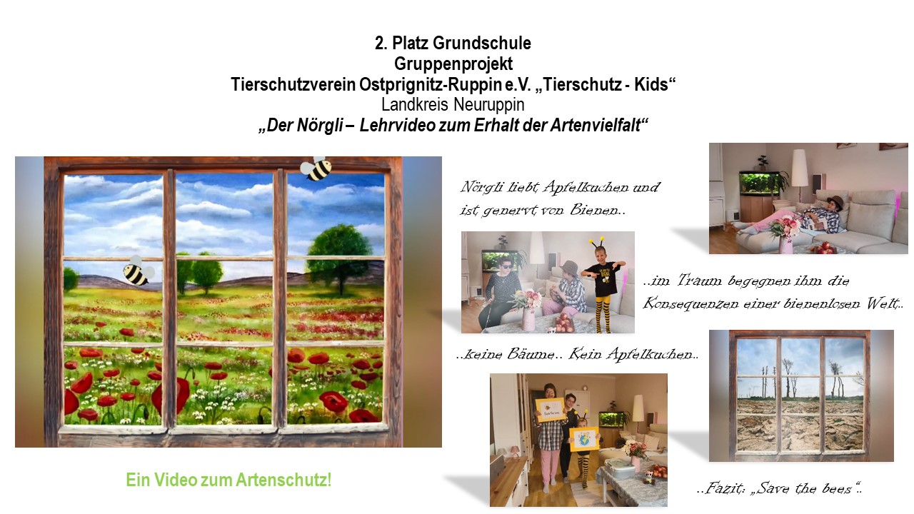 Dieses Foto zeigt mehrere Bilder und Texttafeln zum Projekt „Tierschutz-Kids – „Der Nörgli“, Lehrvideo zum Erhalt der Artenvielfalt“, das im ersten Brandenburger Schülerwettbewerb zum Thema Tierschutz den 2. Platz in der Kategorie Grundschule gewonnen hat.