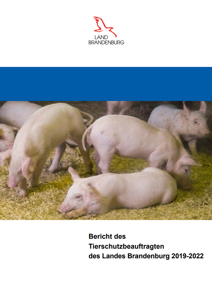 Auf dem Titel des Landestierschutzberichtes sind freilaufende Schweine im Stall auf Stroh abgebildet