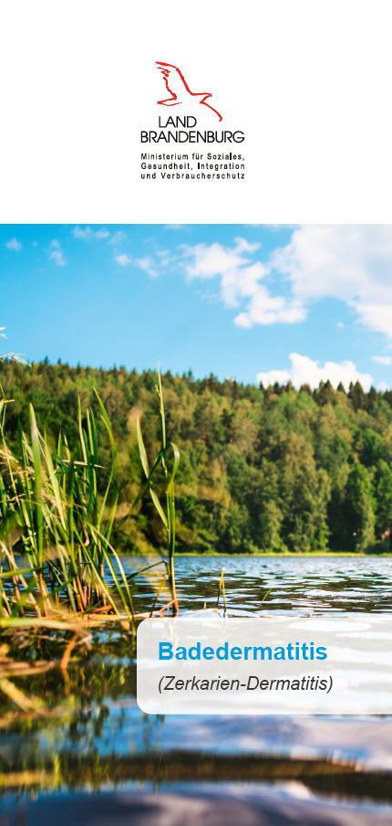 Bild vergrößern (Bild: Auf dem Titelblatt ist oben das Logo des Landes Brandenburg und über einem Symbolbild mit einer Wasserfläche steht Badedermatitis.)